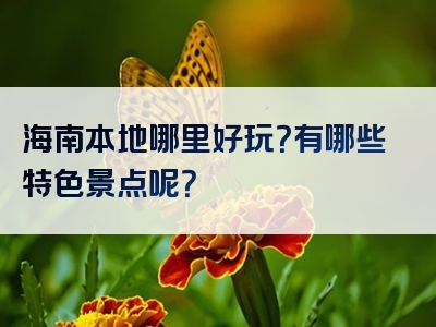 海南本地哪里好玩？有哪些特色景点呢？
