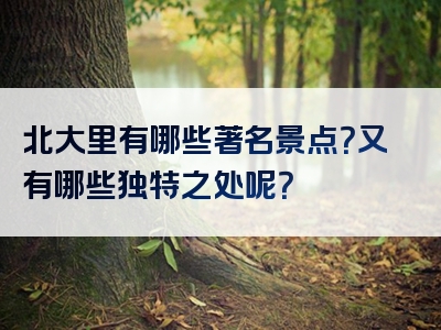 北大里有哪些著名景点？又有哪些独特之处呢？