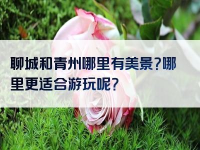 聊城和青州哪里有美景？哪里更适合游玩呢？