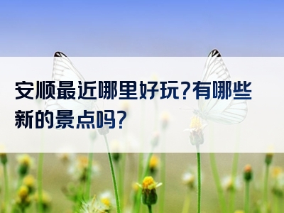 安顺最近哪里好玩？有哪些新的景点吗？