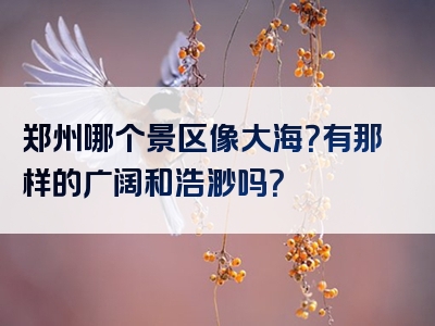 郑州哪个景区像大海？有那样的广阔和浩渺吗？