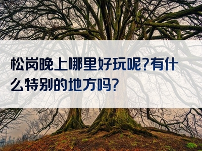 松岗晚上哪里好玩呢？有什么特别的地方吗？