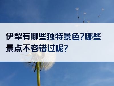 伊犁有哪些独特景色？哪些景点不容错过呢？