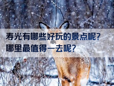寿光有哪些好玩的景点呢？哪里最值得一去呢？