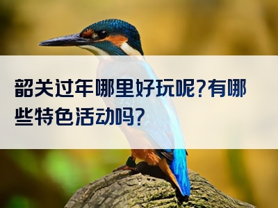韶关过年哪里好玩呢？有哪些特色活动吗？