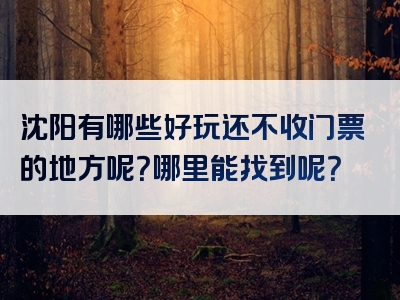 沈阳有哪些好玩还不收门票的地方呢？哪里能找到呢？