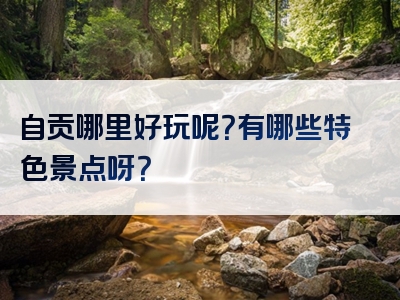 自贡哪里好玩呢？有哪些特色景点呀？