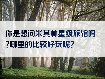 你是想问米其林星级旅馆吗？哪里的比较好玩呢？