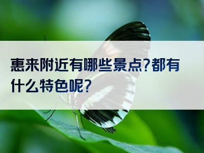 惠来附近有哪些景点？都有什么特色呢？