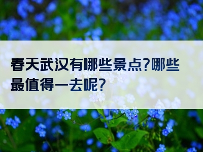 春天武汉有哪些景点？哪些最值得一去呢？