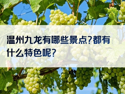 温州九龙有哪些景点？都有什么特色呢？