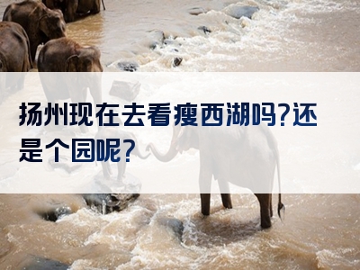 扬州现在去看瘦西湖吗？还是个园呢？