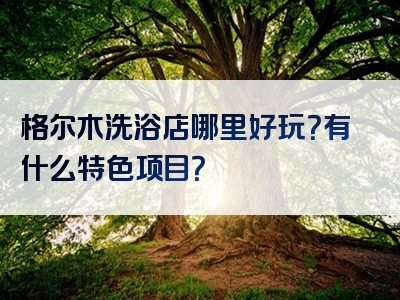 格尔木洗浴店哪里好玩？有什么特色项目？