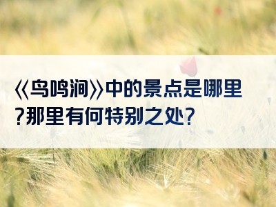 《鸟鸣涧》中的景点是哪里？那里有何特别之处？