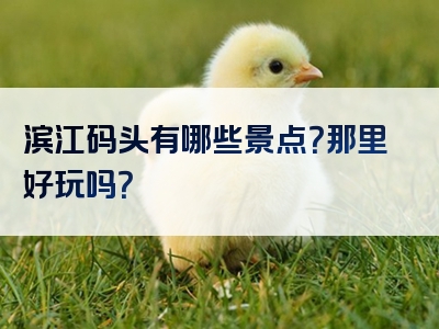 滨江码头有哪些景点？那里好玩吗？