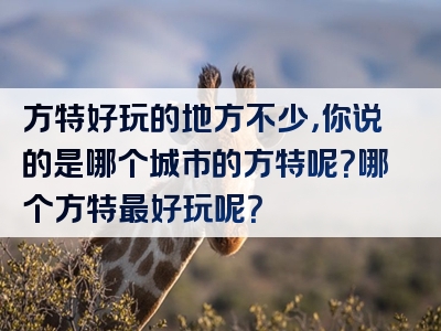 方特好玩的地方不少，你说的是哪个城市的方特呢？哪个方特最好玩呢？