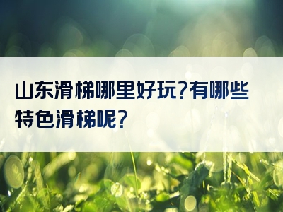 山东滑梯哪里好玩？有哪些特色滑梯呢？