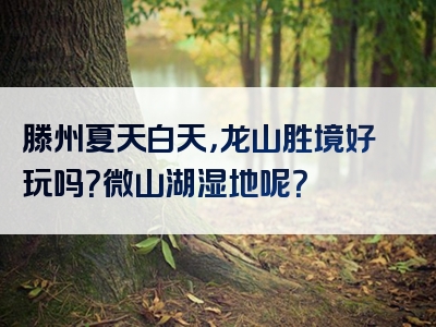 滕州夏天白天，龙山胜境好玩吗？微山湖湿地呢？