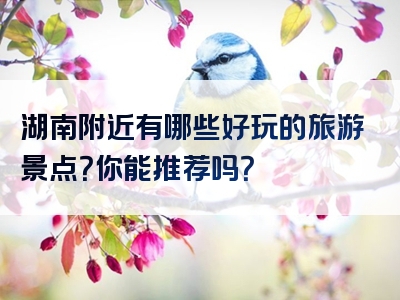 湖南附近有哪些好玩的旅游景点？你能推荐吗？