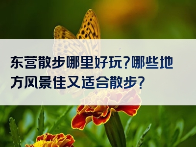 东营散步哪里好玩？哪些地方风景佳又适合散步？