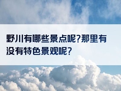 野川有哪些景点呢？那里有没有特色景观呢？