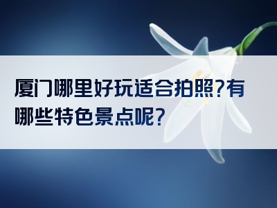 厦门哪里好玩适合拍照？有哪些特色景点呢？