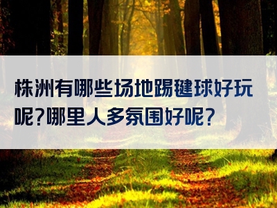 株洲有哪些场地踢毽球好玩呢？哪里人多氛围好呢？