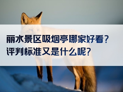 丽水景区吸烟亭哪家好看？评判标准又是什么呢？