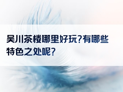 吴川茶楼哪里好玩？有哪些特色之处呢？