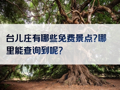台儿庄有哪些免费景点？哪里能查询到呢？