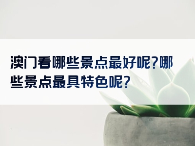 澳门看哪些景点最好呢？哪些景点最具特色呢？