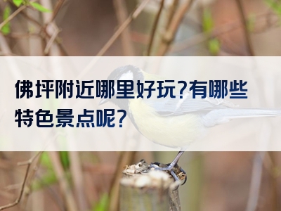 佛坪附近哪里好玩？有哪些特色景点呢？