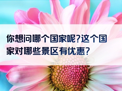 你想问哪个国家呢？这个国家对哪些景区有优惠？