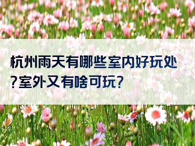 杭州雨天有哪些室内好玩处？室外又有啥可玩？