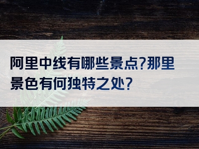 阿里中线有哪些景点？那里景色有何独特之处？