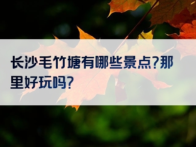 长沙毛竹塘有哪些景点？那里好玩吗？
