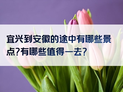 宜兴到安徽的途中有哪些景点？有哪些值得一去？
