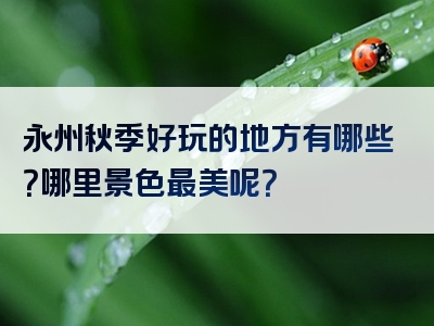 永州秋季好玩的地方有哪些？哪里景色最美呢？