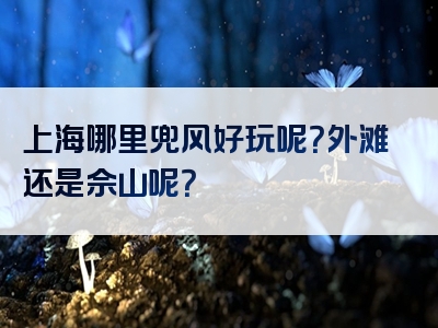 上海哪里兜风好玩呢？外滩还是佘山呢？