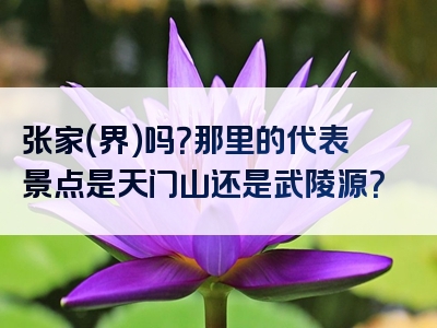 张家（界）吗？那里的代表景点是天门山还是武陵源？