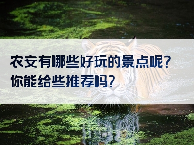 农安有哪些好玩的景点呢？你能给些推荐吗？