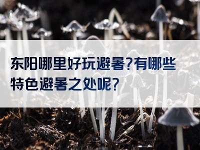 东阳哪里好玩避暑？有哪些特色避暑之处呢？