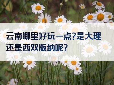 云南哪里好玩一点？是大理还是西双版纳呢？