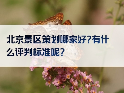北京景区策划哪家好？有什么评判标准呢？