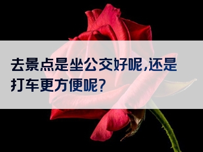 去景点是坐公交好呢，还是打车更方便呢？