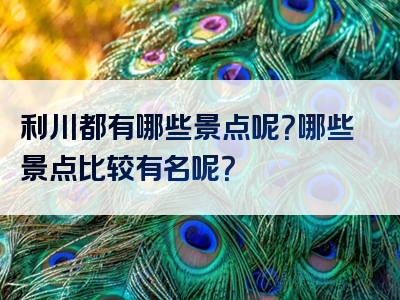 利川都有哪些景点呢？哪些景点比较有名呢？