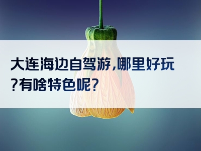 大连海边自驾游，哪里好玩？有啥特色呢？