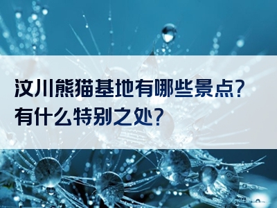 汶川熊猫基地有哪些景点？有什么特别之处？