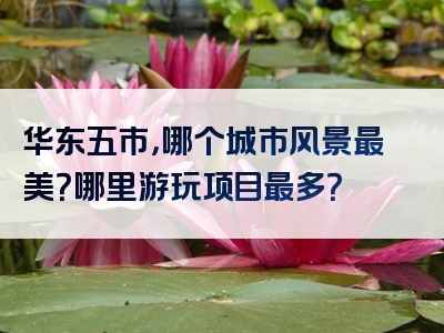 华东五市，哪个城市风景最美？哪里游玩项目最多？