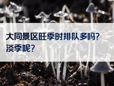 大同景区旺季时排队多吗？淡季呢？